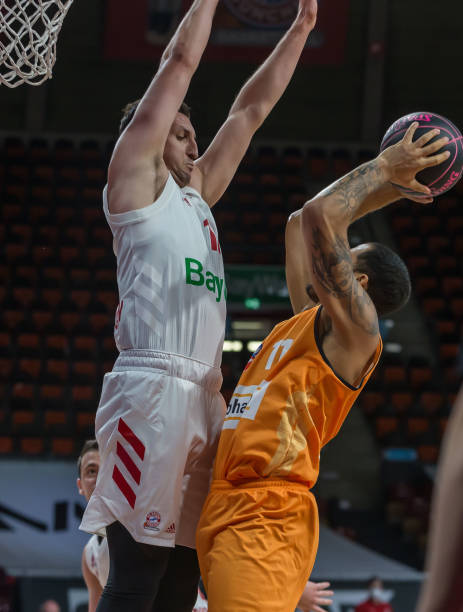 无疑是对梅 无疑是对梅